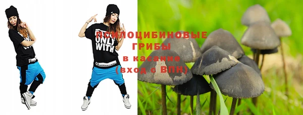 спиды Балабаново