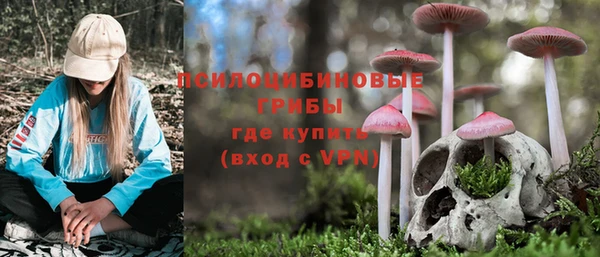 Альфа ПВП Баксан