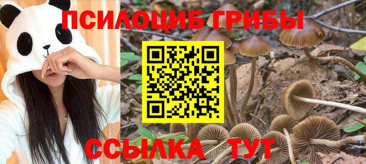 Галлюциногенные грибы Magic Shrooms Улан-Удэ